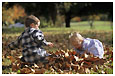 kids playing in autumn leaves